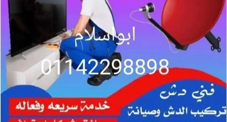 فني دش في الجيزة