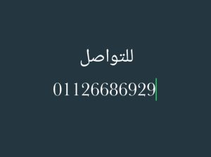 مطلوب عمال لمصنع الجبنه باكتوبر