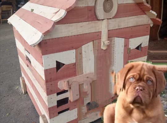 بيوت بوكسات خشب طبيعي للكلاب والقطط