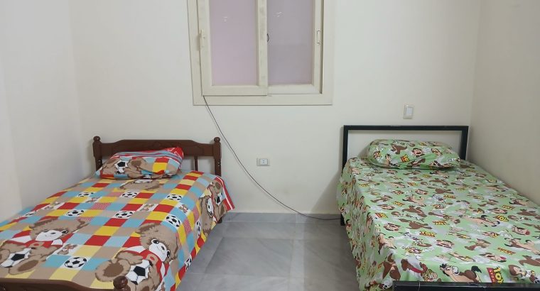 شقه مفروشه سكن مشترك مع مهندسين مدينة نصر