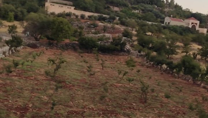 أرض مفروزة للبيع في عجلون من المالك مباشرة