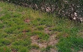 اراضي مشاريع زراعية صناعية للبيع بالمغرب