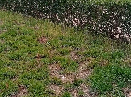 اراضي مشاريع زراعية صناعية للبيع بالمغرب