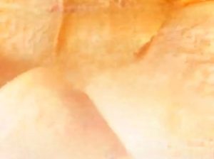 عمال في مصنع شيبسي بالعبور