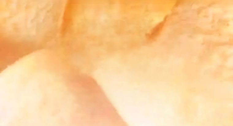 عمال في مصنع شيبسي بالعبور