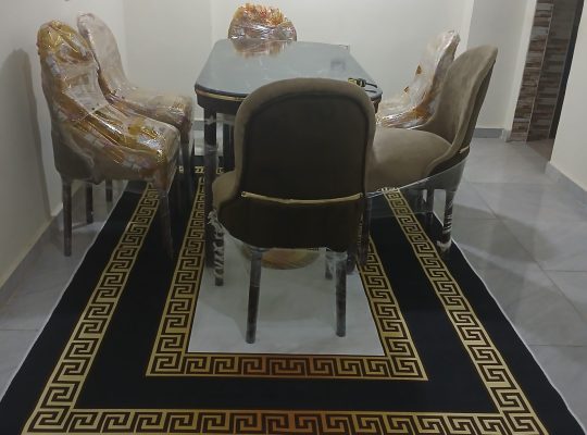 شقه مفروشه سكن مشترك مع مهندسين مدينة نصر