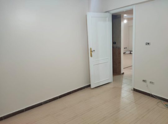 شقه مفروشه فرش جديد شارع ٩ منالنصر سموحه