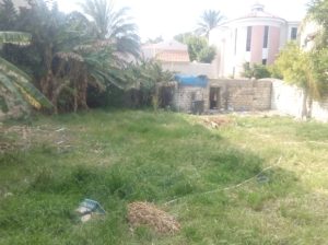 ارض مسجلة 700م العجمى الحنفية الرئيسى للبيع