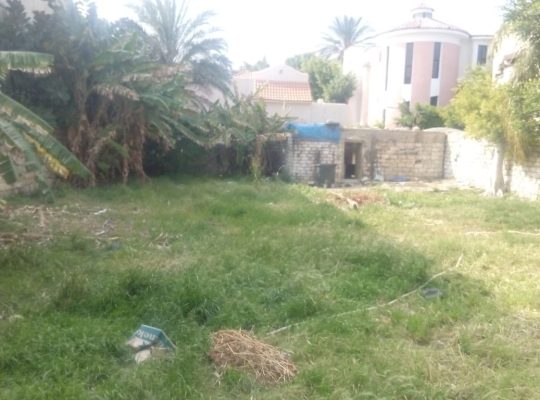 ارض مسجلة 700م العجمى الحنفية الرئيسى للبيع