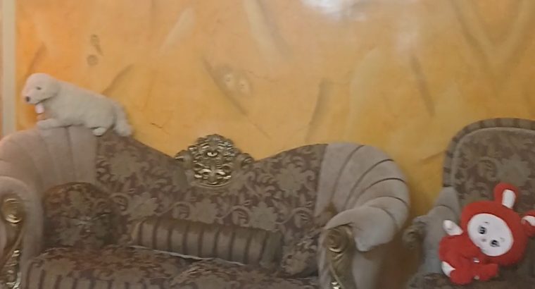 شقه للبيع جاهزة للسكن