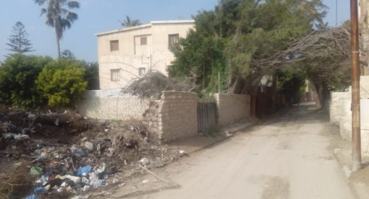 ارض مسجلة 700م العجمى الحنفية الرئيسى للبيع