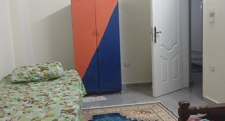 شقه مفروشه سكن مشترك مع مهندسين مدينة نصر