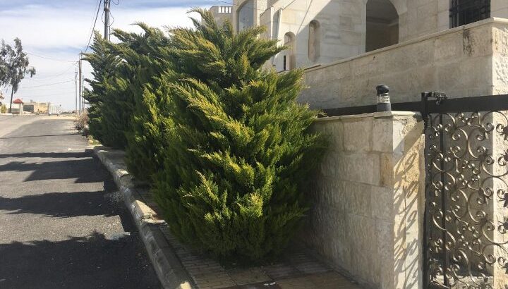 شبه فيلا للبيع في شفا بدران بسعر مميز