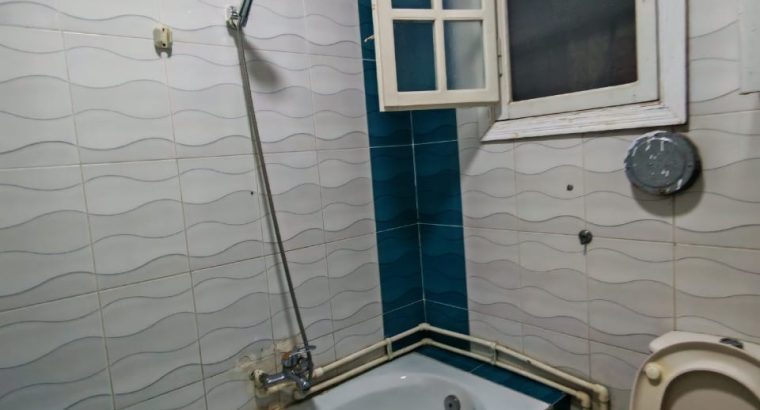 شقه مفروشه فرش جديد شارع ٩ منالنصر سموحه