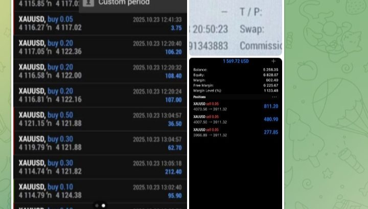 توصيات الاسهم والفوركس الذهبية