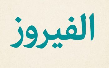 مطلوب مندوب تسويق لشركة توريدات