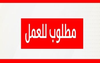 مطلوب شباب للعمل في مصنع شيبسي بالعبور