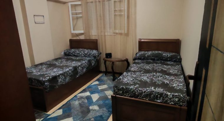 شقه مفروشه فرش جديد شارع ٩ منالنصر سموحه