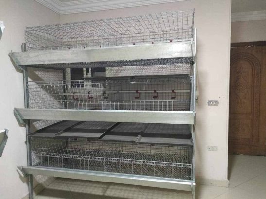 بطاريه تسمين فراخ بيضاء سعة ١١٥ فرخه