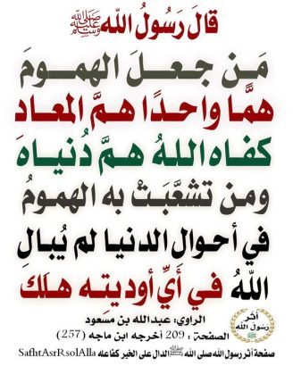 شقه للايجار بجاردينيا سيتى