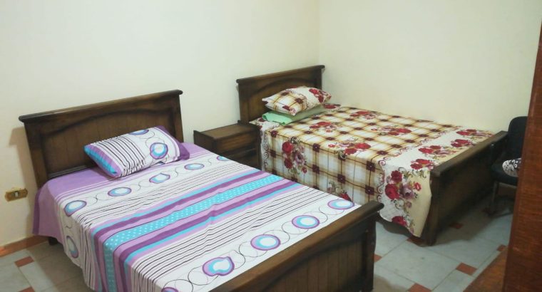 استوديو مفروش للإيجار – الياسمين 8