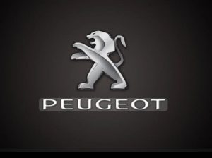 بيجو 405 انچكشن 98