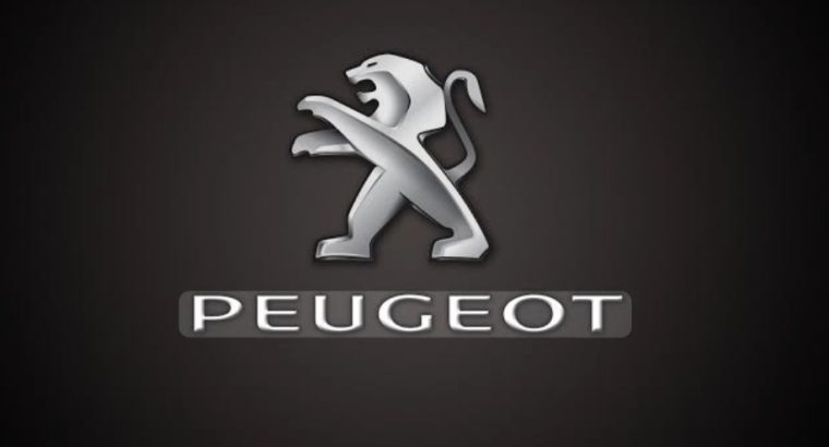 بيجو 405 انچكشن 98