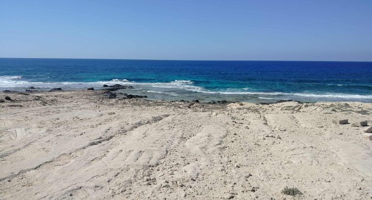 ارض للبيع في مرسي مطروح تقدر تعملها قريه سياح