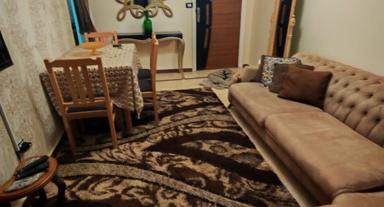 شقه مفروشه فرش جديد شارع ٩ منالنصر سموحه