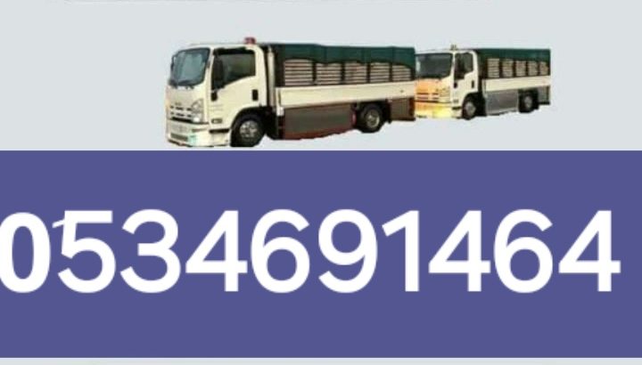 طش عفش قديم بالرياض التخلص