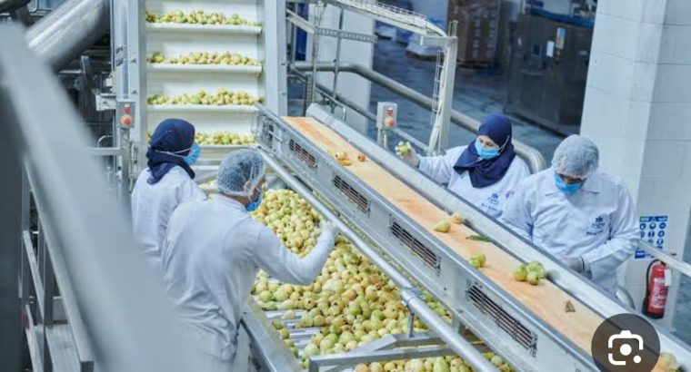 فرص عمل للشباب والبنات فى الإنتاج بالمصانع