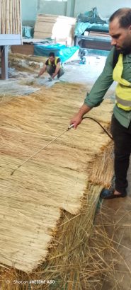 أليكس فاير للمعالجة ضد الحريق