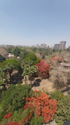 شقة متميزة بشارع الجامعة امام كلية الزراعة
