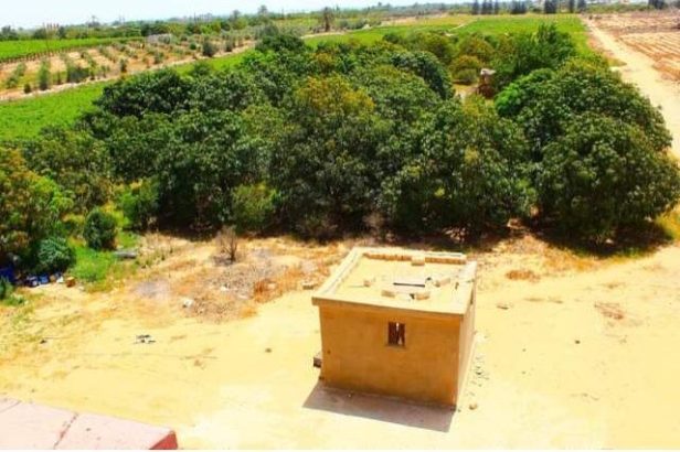 مزرعه 8 فدان و16 قيراط بطريق مصر اسكندريه