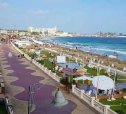 شقه ٩ غرف ب المعموره