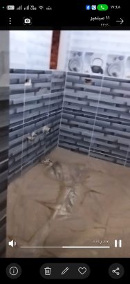 شقه تلات غرف وصاله ومطبخ وحمام بها كافه الخدمات